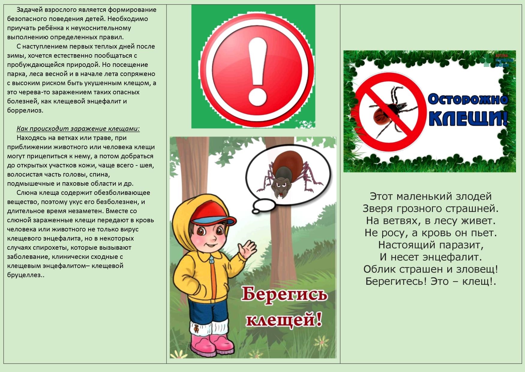 Осторожно клещи презентация для детей